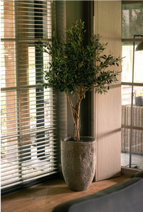 Een sfeerfoto van de kunstolijfboom 'June' in een huiselijk interieur. De boom staat trots met zijn twee houten stammen, weelderige bladeren en polyfoam olijven, en creëert een natuurlijke en elegante uitstraling in de ruimte.