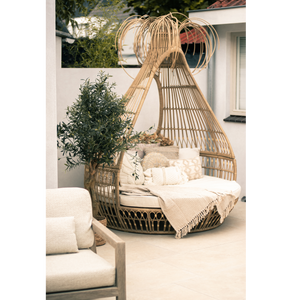 Sfeerfoto van kunstolijfboom Yara in een tuinsetting, met gedraaide stam en weelderig bladerdak. De 160 cm hoge boom creëert een artistieke en mediterrane sfeer.