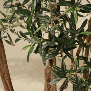 Close-up van de bladeren van de kunstolijfboom 'Verdi', met gedetailleerde weergave van de 3366 levensechte bladeren. De foto benadrukt de natuurlijke textuur en realistische afwerking van de bladeren, die bijdragen aan de authentieke mediterrane uitstraling van de kunstboom.