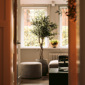Kunstolijfboom 'June' van 165 cm hoog, geplaatst in een moderne woonkamer. De foto toont de kunstboom met zijn authentieke houten stammen, luxe groene bladeren en kunstolijven, die naadloos passen in het interieur. De 'June' voegt een verfijnde mediterrane charme en natuurlijke elegantie toe aan de woonkamer, waardoor een stijlvolle en serene sfeer ontstaat.