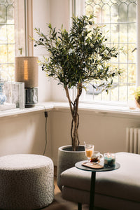 Kunstolijfboom 'June' van 165 cm hoog, geplaatst in een moderne woonkamer. De foto toont de olijfboom met zijn authentieke houten stammen, weelderige groene bladeren en kunstolijven, perfect geïntegreerd in het interieur. De 'June' voegt een verfijnde mediterrane charme en natuurlijke elegantie toe aan de ruimte, wat bijdraagt aan een stijlvolle en serene sfeer.
