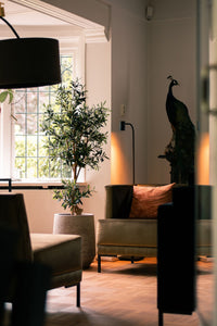 Kunstolijfboom 'Maeve' van 150 cm hoog, gepresenteerd in een stijlvolle woonkamer. De foto toont de olijfboom met zijn robuuste houten stam, gedetailleerde bladeren en polyfoam olijven, die naadloos passen in het interieur. 'Maeve' voegt een verfijnde mediterrane charme en natuurlijke elegantie toe aan de woonkamer, waardoor een gezellige en verfijnde sfeer ontstaat.