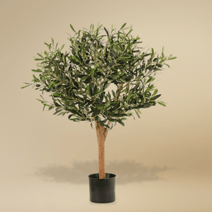 Kunstolijfboom 'Olivier' van 85 cm hoog, weergegeven in een productfoto. De boom heeft een bolvormige kroon met 1.248 levensechte polyester bladeren, 30 authentieke schuimolijven, en een echte houten stam. Geplaatst in een stevige plastic pot van 11 cm hoog en 13 cm in diameter, biedt 'Olivier' een elegante mediterrane uitstraling voor elke ruimte.