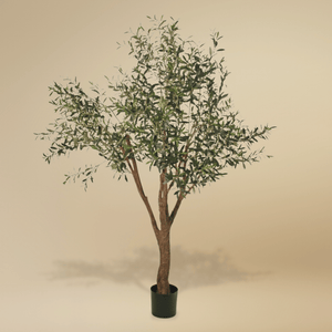 Kunstolijfboom 'Verdi' van 200 cm hoog, weergegeven in een productfoto. De boom heeft een realistische glasvezel stam, houten takken, en 3366 levensechte bladeren. Geplaatst in een stevige plastic pot met een diameter van Ø 20 cm en een hoogte van 18 cm, biedt de kunstolijfboom een indrukwekkende uitstraling en mediterrane charme voor elke ruimte.