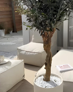 Ontdek de leukste diy-projecten met onze kunstolijfbomen.